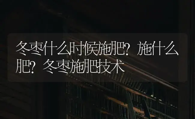 冬枣什么时候施肥？施什么肥？冬枣施肥技术 | 果木种植