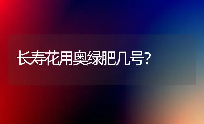 长寿花用奥绿肥几号？ | 多肉养殖