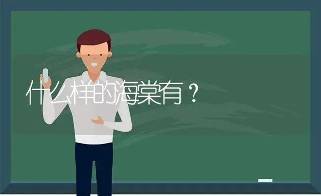 什么样的海棠有？ | 绿植常识