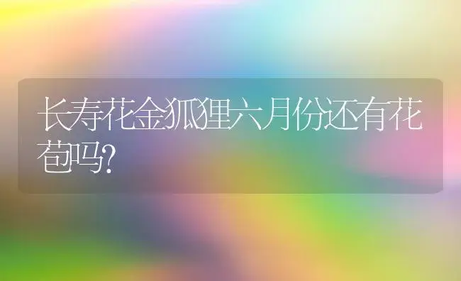 长寿花金狐狸六月份还有花苞吗？ | 多肉养殖