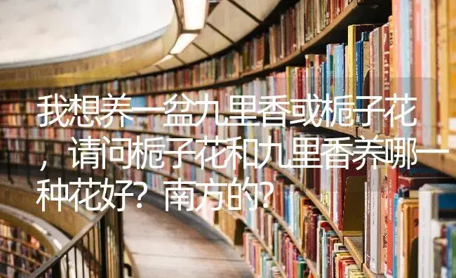 我想养一盆九里香或栀子花，请问栀子花和九里香养哪一种花好？南方的？ | 绿植常识