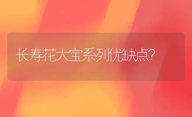 长寿花大宝系列优缺点？ | 多肉养殖