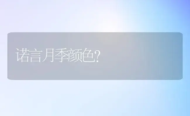 诺言月季颜色？ | 绿植常识