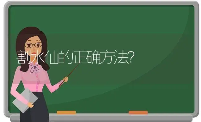 割水仙的正确方法？ | 绿植常识