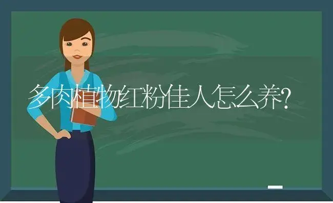 多肉植物红粉佳人怎么养？ | 多肉养殖