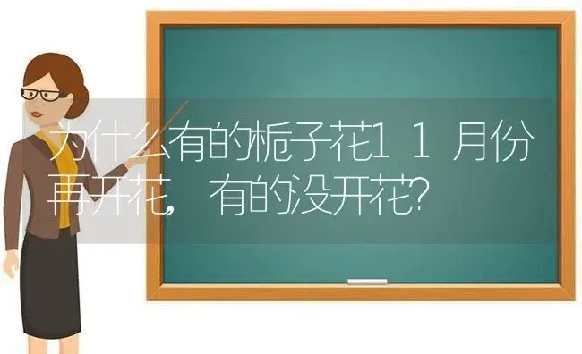 为什么有的栀子花11月份再开花,有的没开花？ | 绿植常识