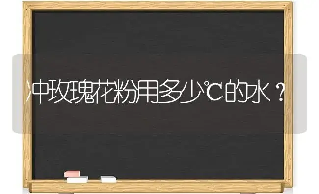 冲玫瑰花粉用多少℃的水？ | 绿植常识