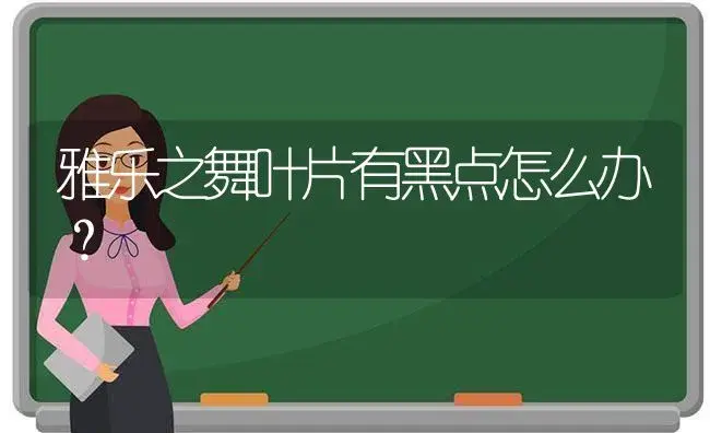 雅乐之舞叶片有黑点怎么办？ | 多肉养殖