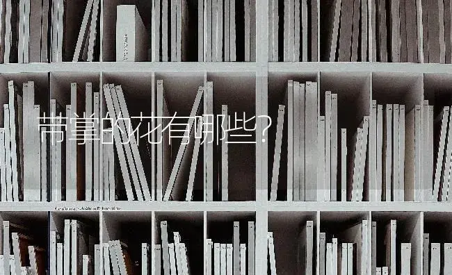 带掌的花有哪些？ | 多肉养殖