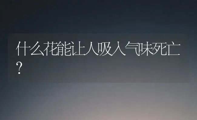 什么花能让人吸入气味死亡？ | 绿植常识