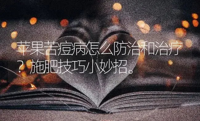 苹果苦痘病怎么防治和治疗？施肥技巧小妙招。 | 果木种植