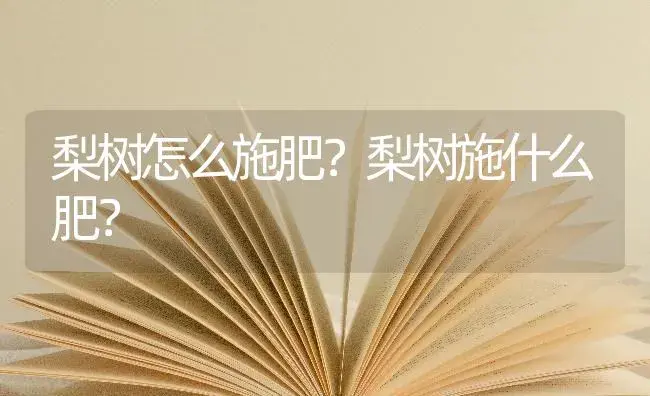 梨树怎么施肥？梨树施什么肥？ | 果木种植