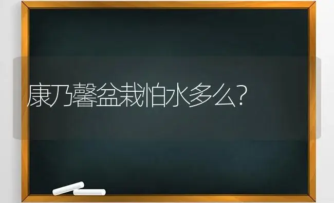 康乃馨盆栽怕水多么？ | 绿植常识