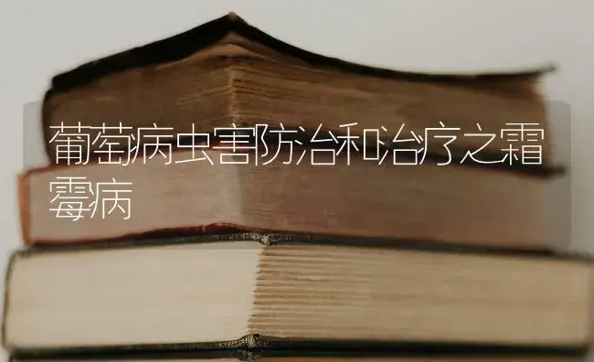 葡萄病虫害防治和治疗之霜霉病 | 果木种植