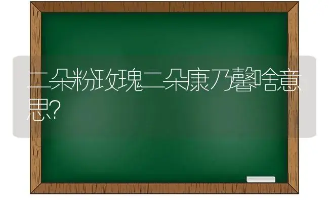 二朵粉玫瑰二朵康乃馨啥意思？ | 绿植常识