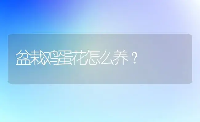 盆栽鸡蛋花怎么养？ | 家庭养花