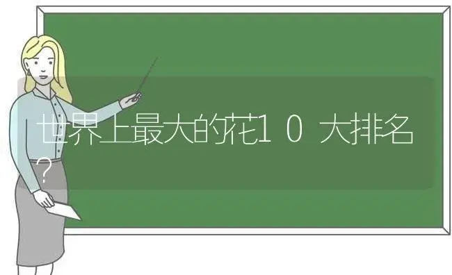 风信子开了一点花可以晒太阳吗？ | 绿植常识