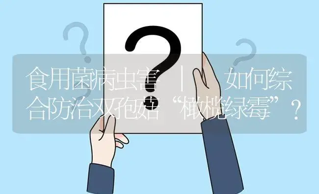 如何综合防治双孢菇“橄榄绿霉”？ | 菌菇种植