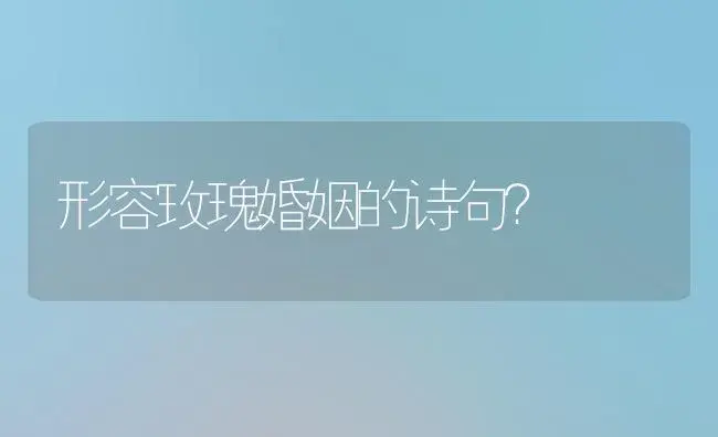 形容玫瑰婚姻的诗句？ | 绿植常识