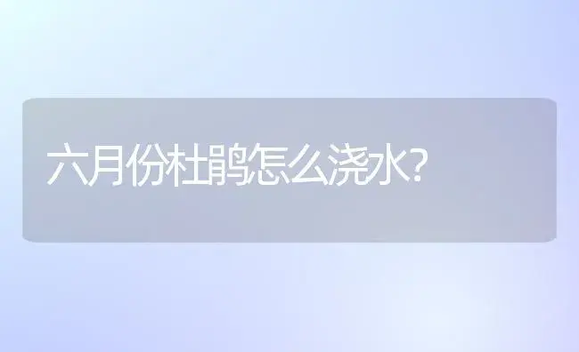 六月份杜鹃怎么浇水？ | 绿植常识