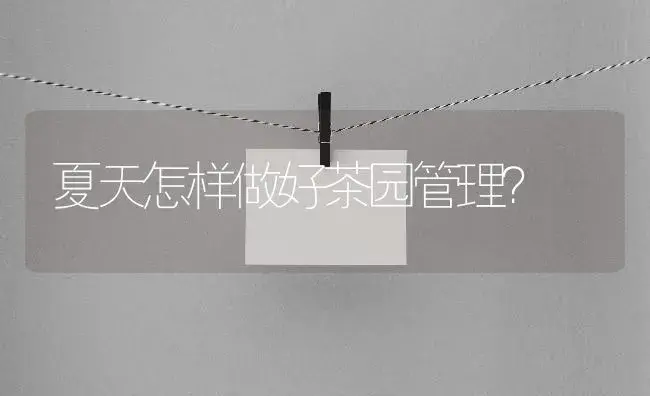 夏天怎样做好茶园管理？ | 农作物种植