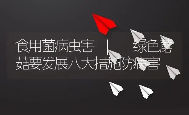 绿色蘑菇要发展八大措施防病害 | 菌菇种植