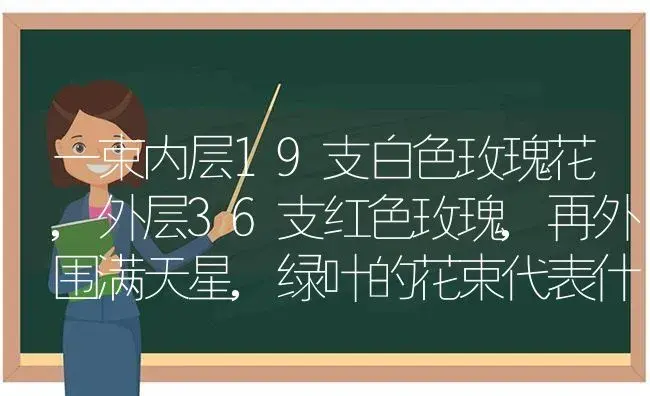 一束内层19支白色玫瑰花,外层36支红色玫瑰,再外围满天星,绿叶的花束代表什么花语？ | 绿植常识