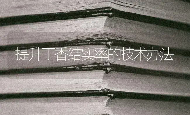 提升丁香结实率的技术办法 | 特种种植