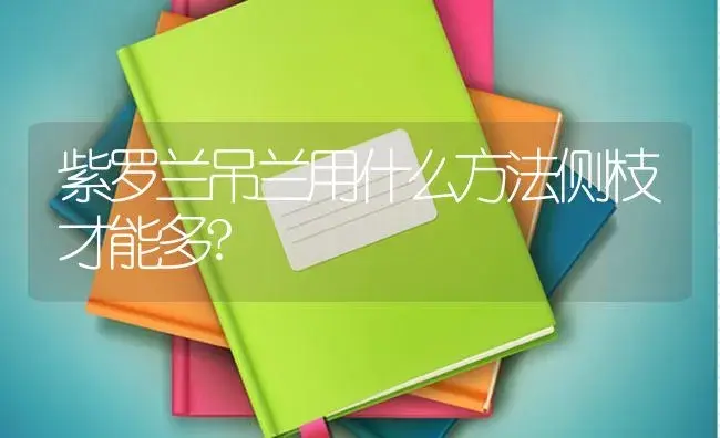 紫罗兰吊兰用什么方法侧枝才能多? | 绿植常识