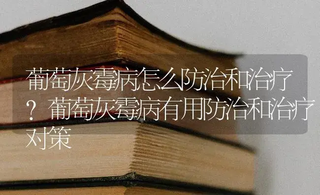 葡萄灰霉病怎么防治和治疗？葡萄灰霉病有用防治和治疗对策 | 果木种植