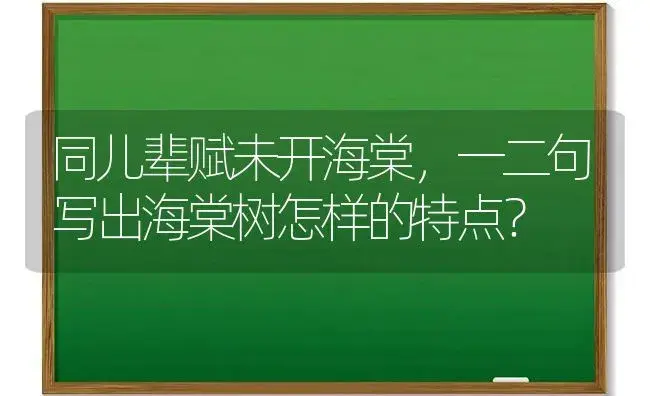 同儿辈赋未开海棠，一二句写出海棠树怎样的特点？ | 绿植常识