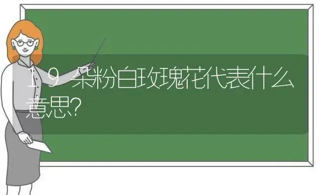 19朵粉白玫瑰花代表什么意思？ | 绿植常识