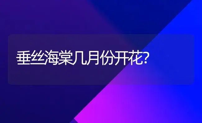 白玫瑰、黄玫瑰、百合、郁金香.红玫瑰、康乃馨各象征或寓意什么？ | 绿植常识