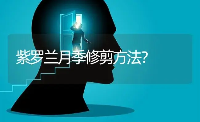 紫罗兰月季修剪方法？ | 绿植常识