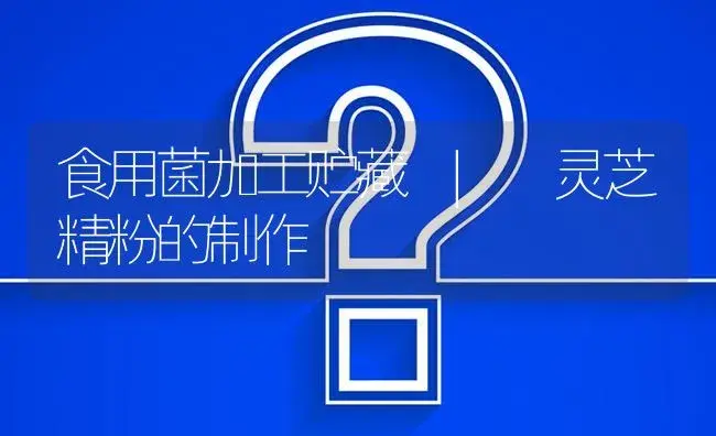 灵芝精粉的制作 | 菌菇种植