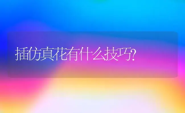 插仿真花有什么技巧？ | 绿植常识