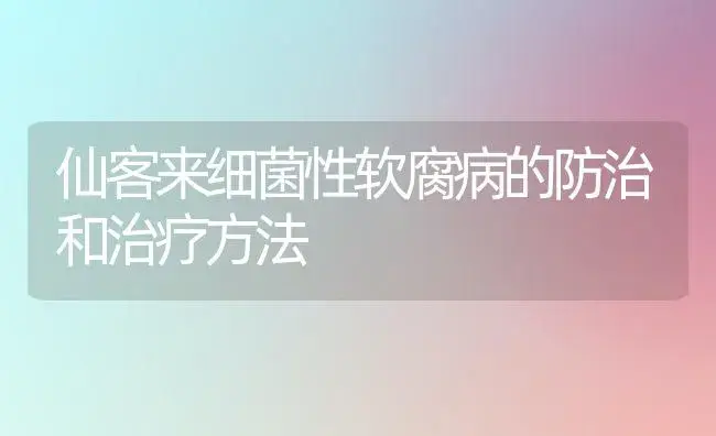 仙客来细菌性软腐病的防治和治疗方法 | 家庭养花