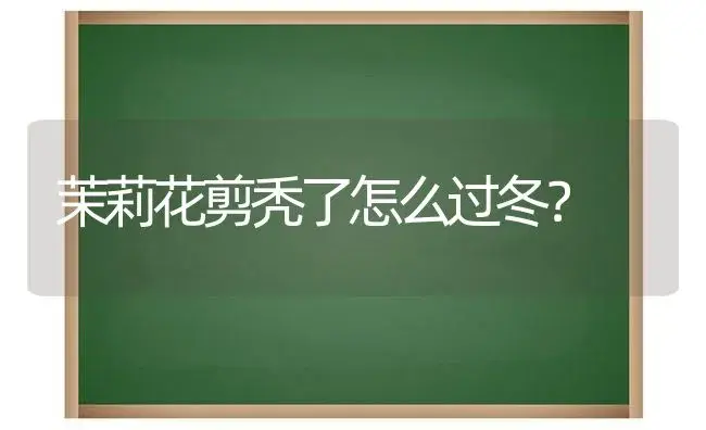 茉莉花剪秃了怎么过冬？ | 绿植常识