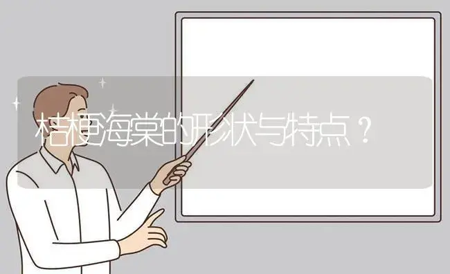 桔梗海棠的形状与特点？ | 绿植常识