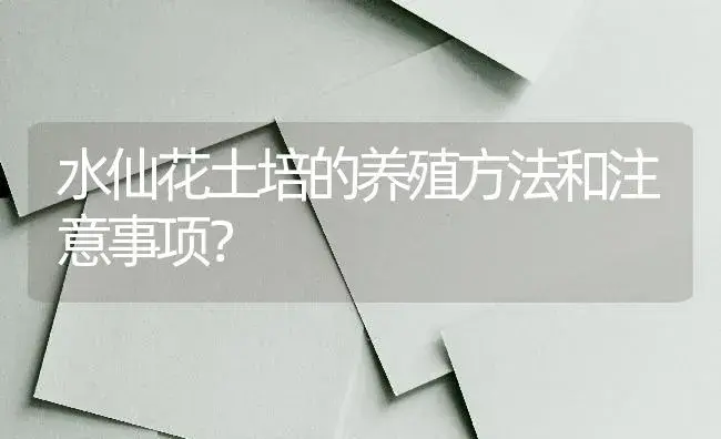 水仙花土培的养殖方法和注意事项？ | 绿植常识