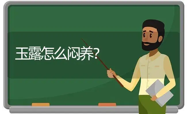 玉露怎么闷养？ | 多肉养殖