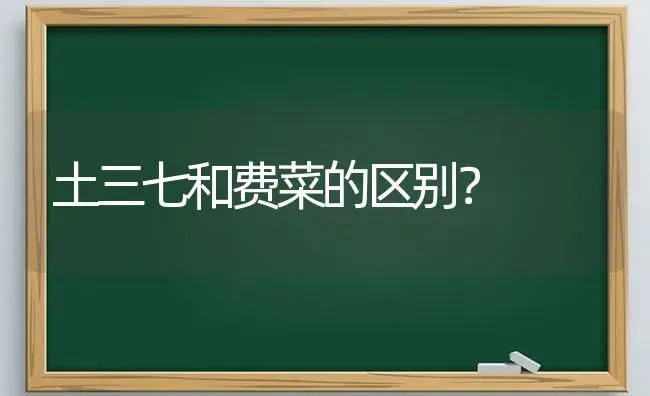 土三七和费菜的区别？ | 多肉养殖