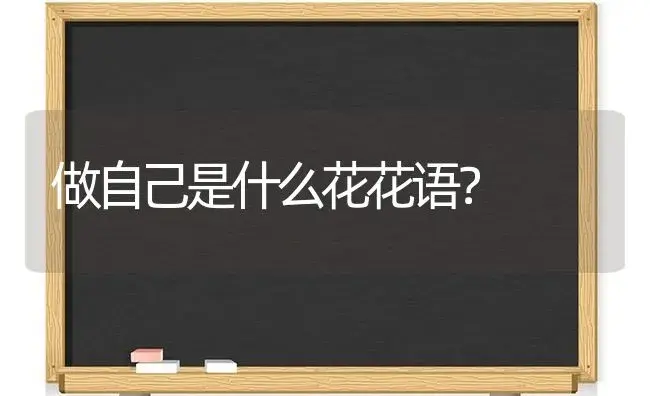 做自己是什么花花语？ | 绿植常识