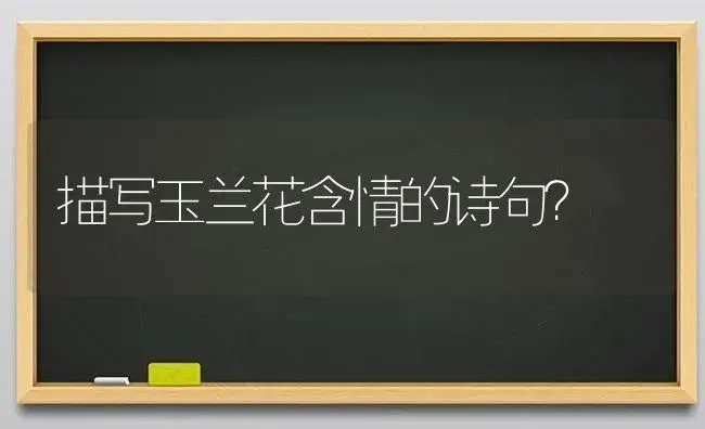 描写玉兰花含情的诗句？ | 绿植常识