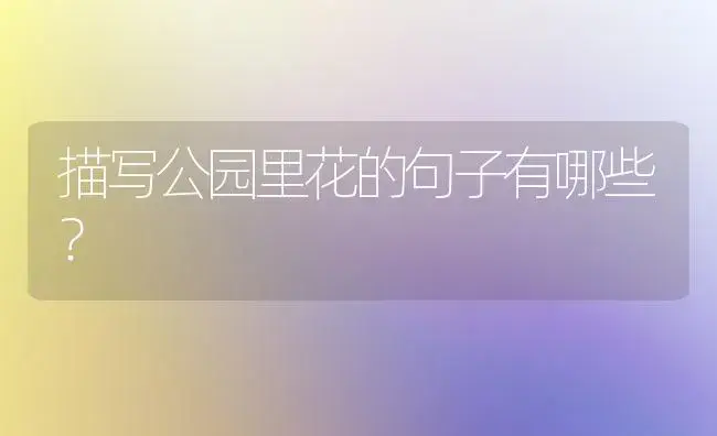 不要忘记我的意思的成语？ | 绿植常识