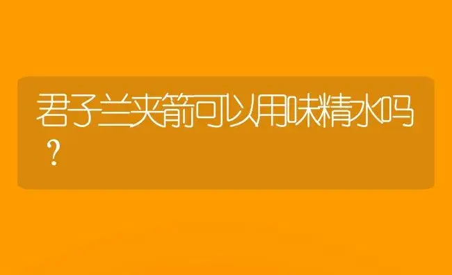 君子兰夹箭可以用味精水吗？ | 绿植常识