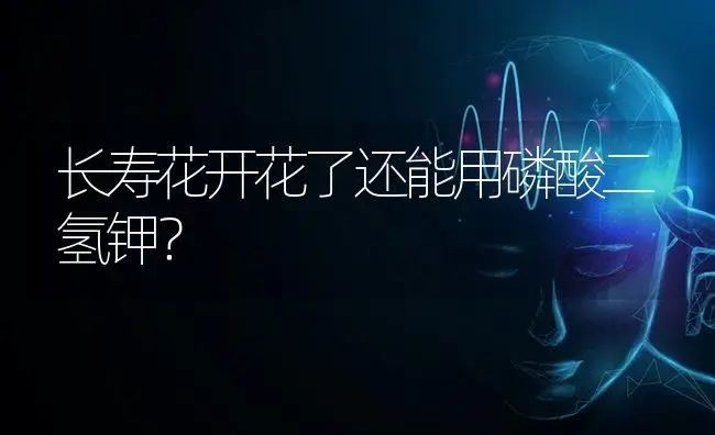 长寿花开花了还能用磷酸二氢钾？ | 多肉养殖