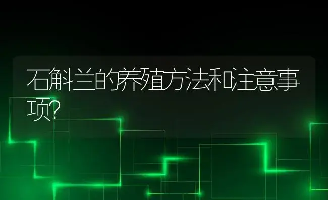 石斛兰的养殖方法和注意事项？ | 绿植常识