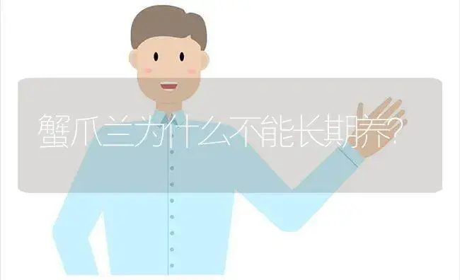 蟹爪兰为什么不能长期养？ | 多肉养殖