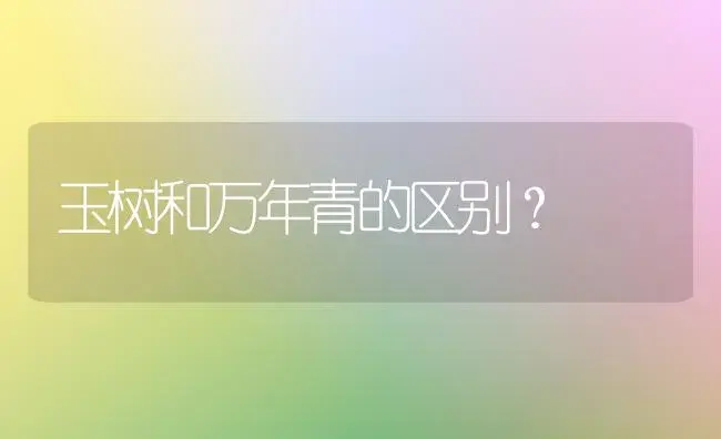 玉树和万年青的区别？ | 多肉养殖